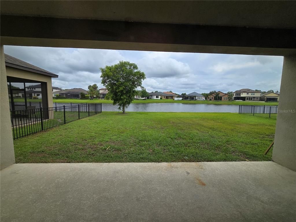 Backyard, Exterior, Water