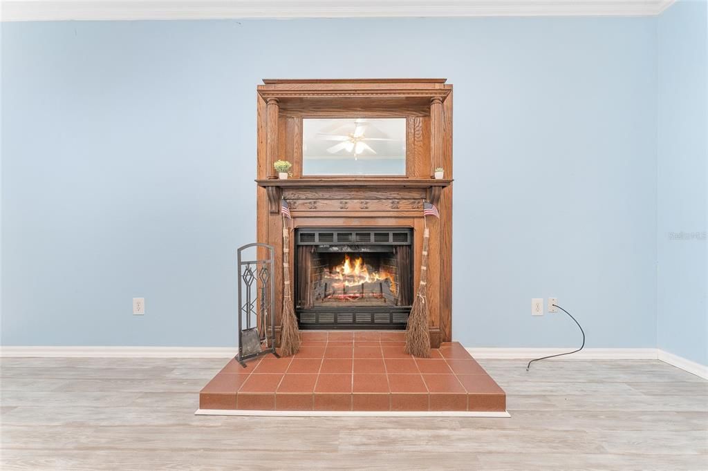 Fireplace, Interior, Wood Texture Flooring