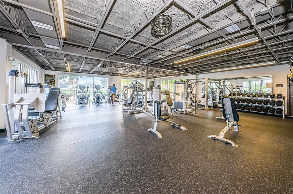 Fitness Equipment, Gym, Interior