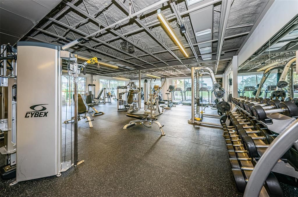 Fitness Equipment, Gym, Interior