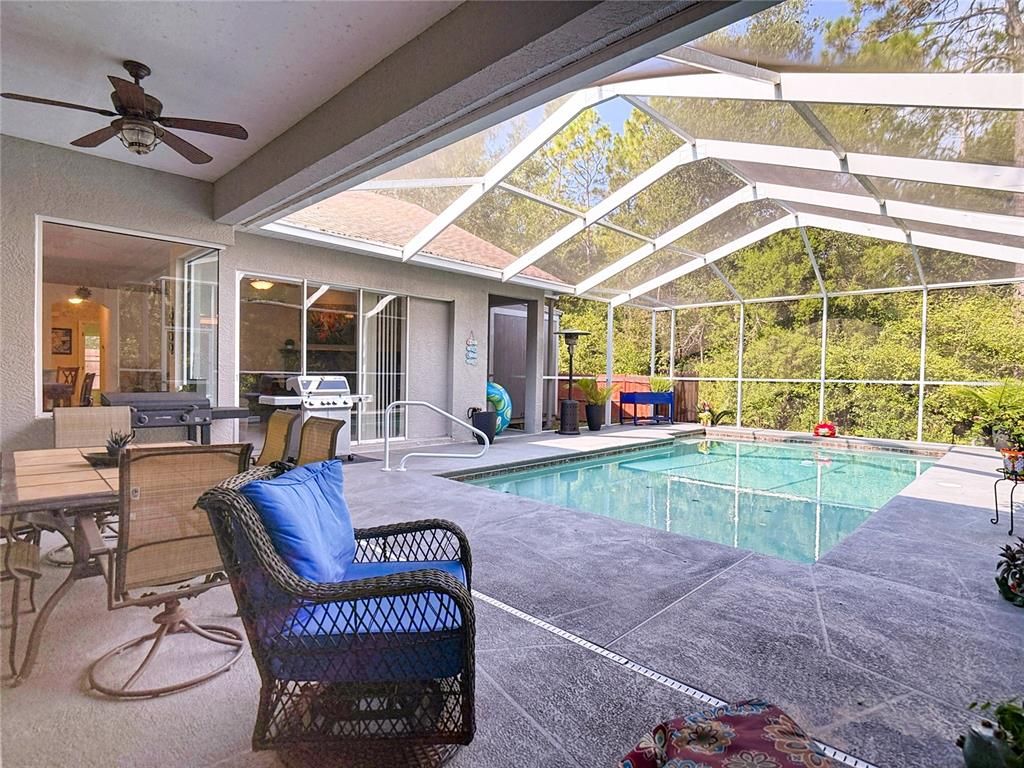 Glass Ceilings, Interior, Pool, Sun Room