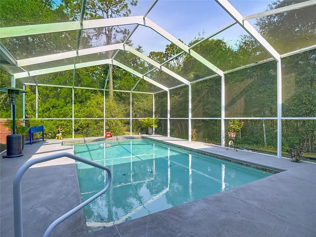 Glass Ceilings, Interior, Pool, Sun Room