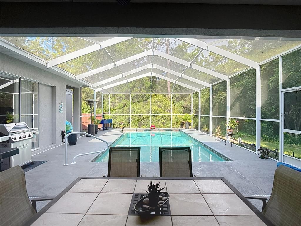 Glass Ceilings, Interior, Pool, Sun Room