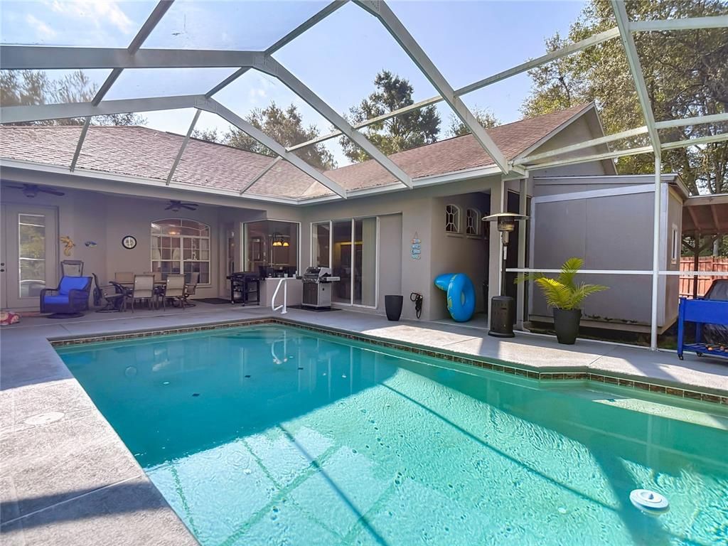 Glass Ceilings, Interior, Pool, Sun Room