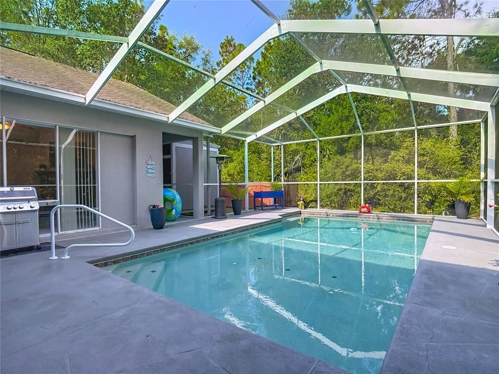 Glass Ceilings, Interior, Pool, Sun Room