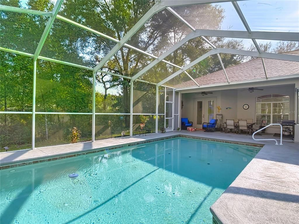 Glass Ceilings, Interior, Pool, Sun Room