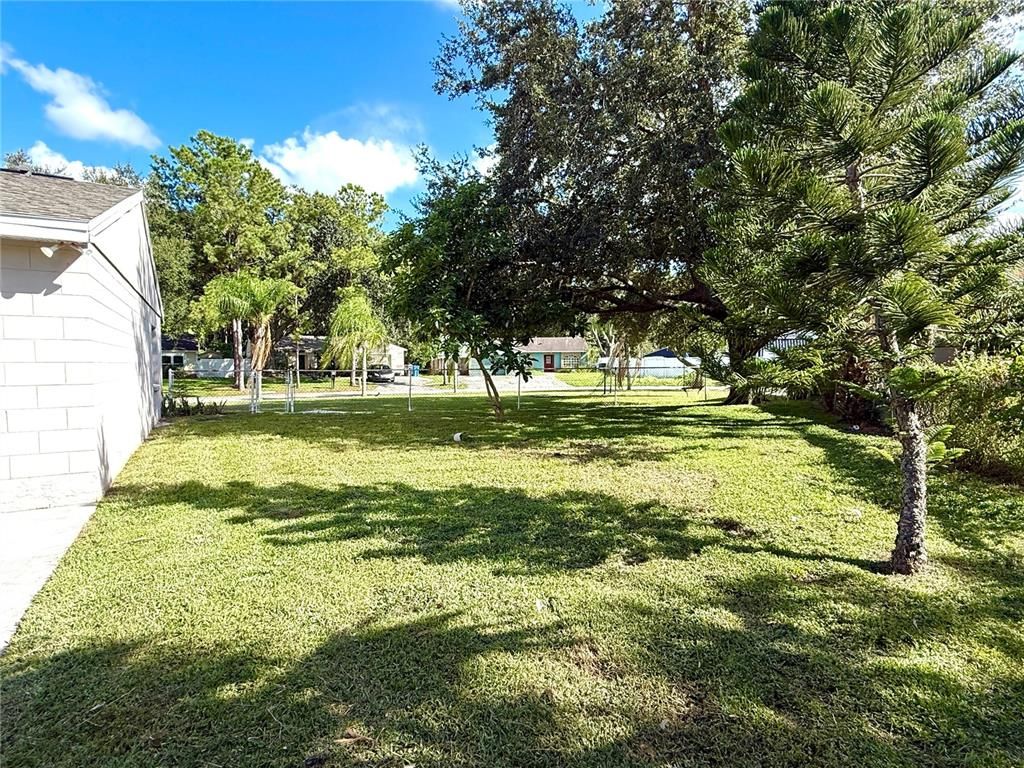 Backyard, Exterior