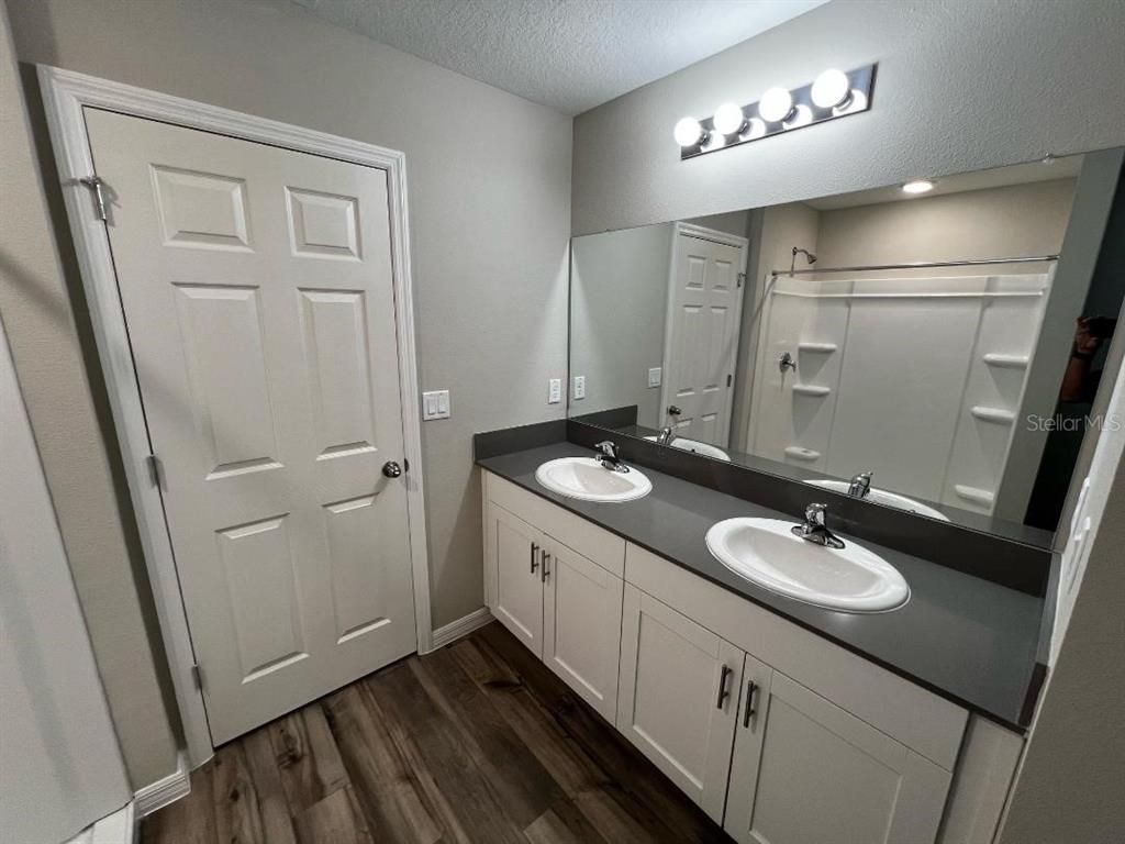 Bathroom, Dual Sink Vanities, Interior, Wood Texture Flooring