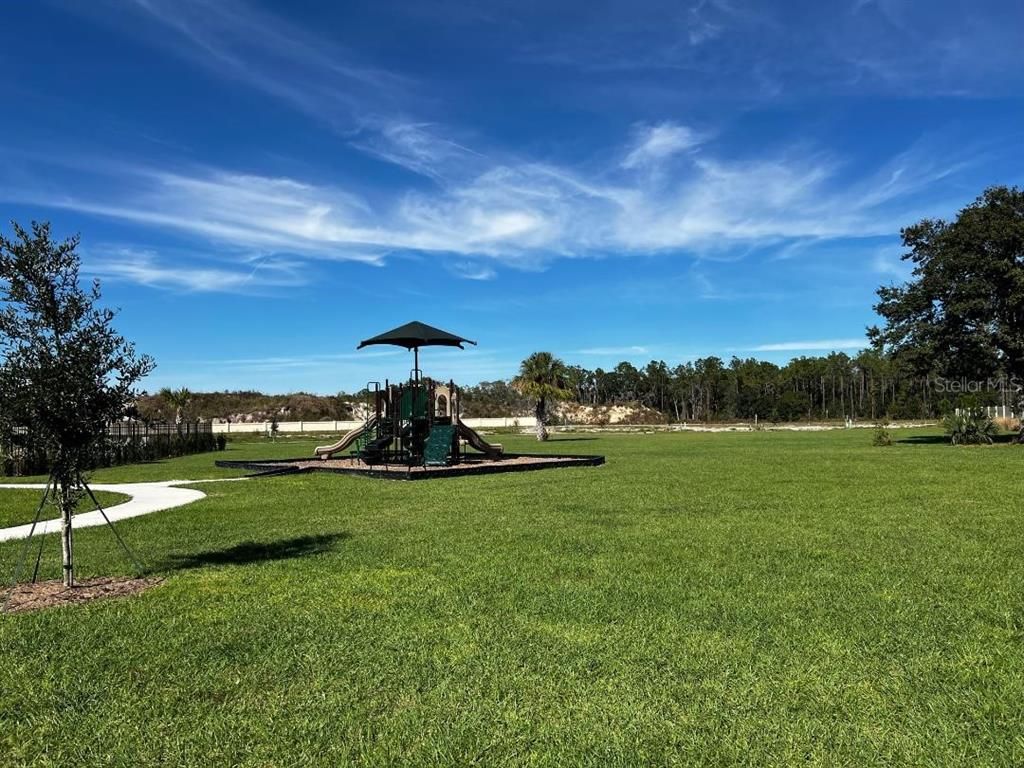 Backyard, Exterior, Playground