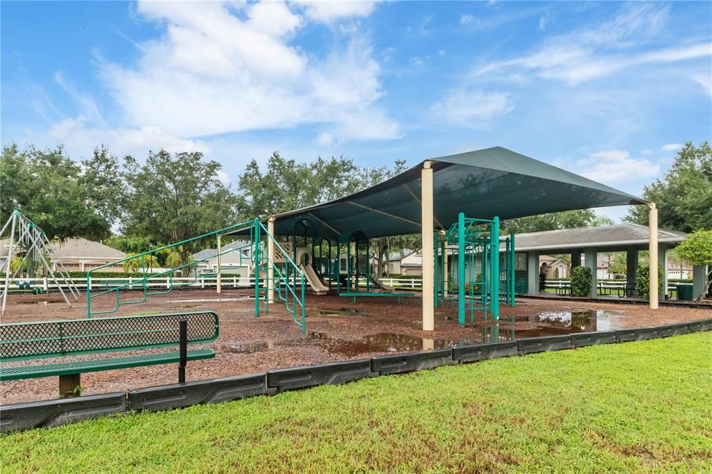 Backyard, Exterior, Playground