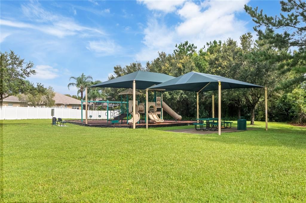 Backyard, Exterior, Playground