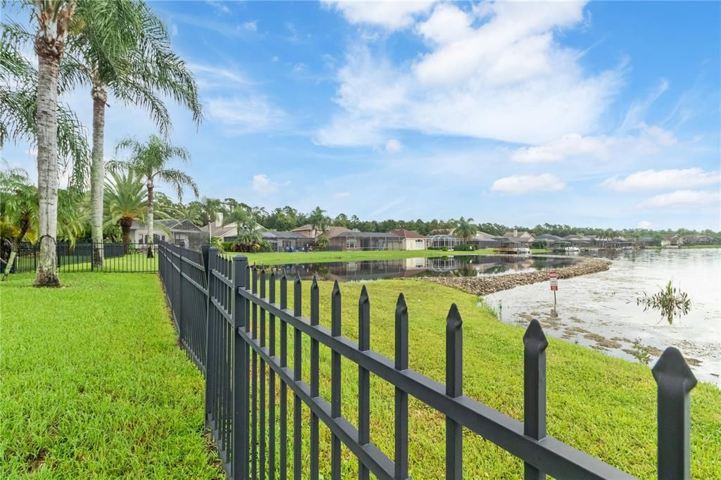 Backyard, Exterior, Water