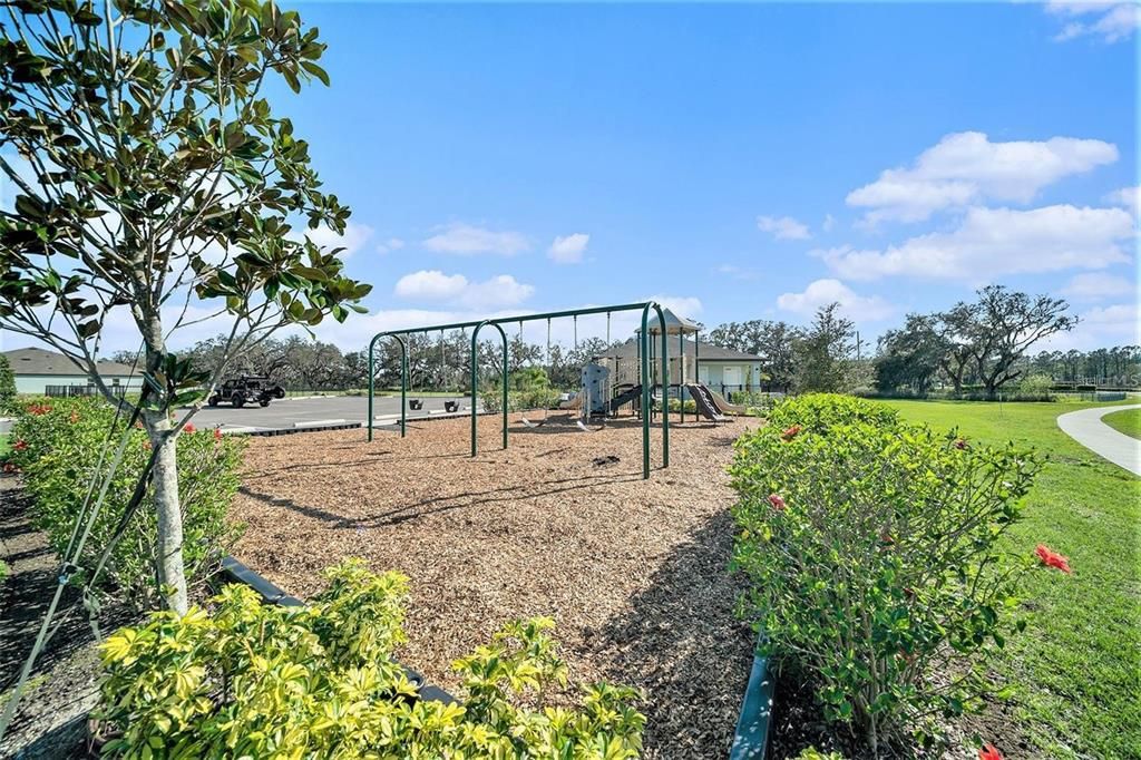 Backyard, Exterior, Playground