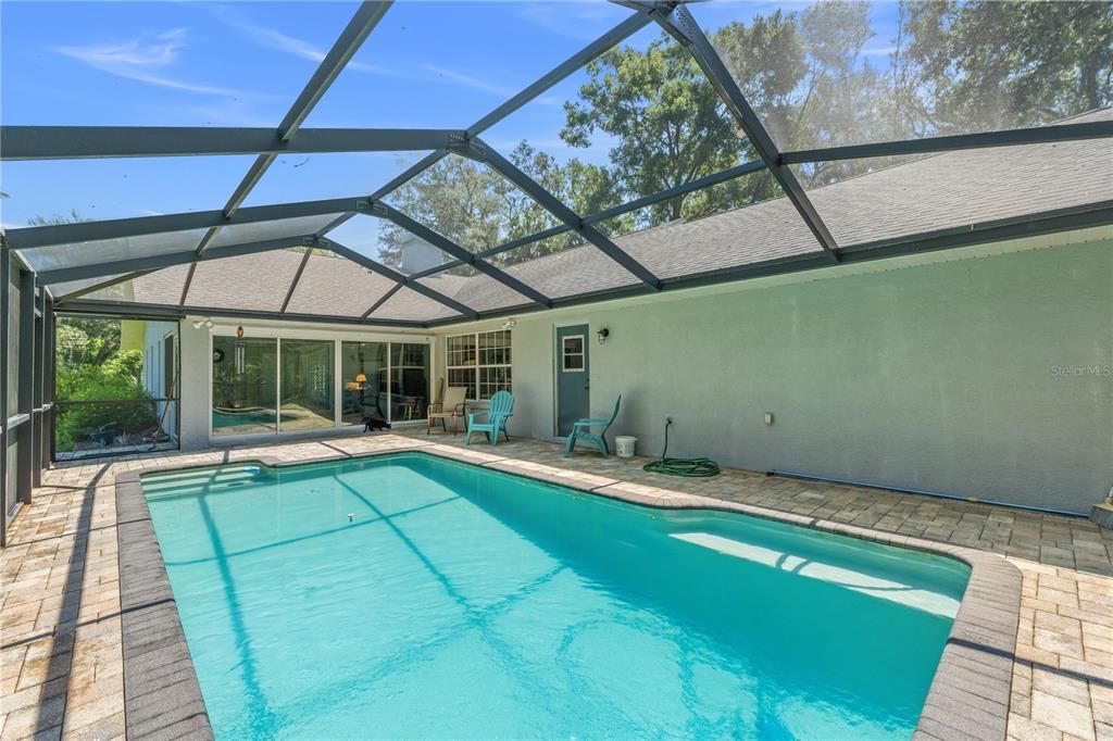 Glass Ceilings, Interior, Pool, Sun Room