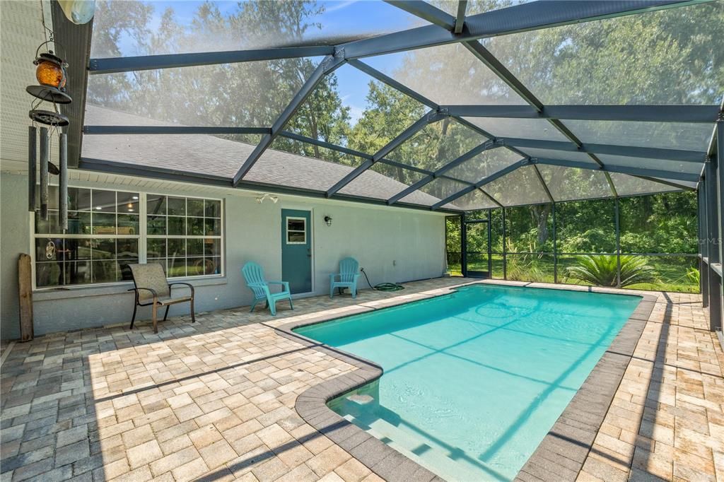 Glass Ceilings, Interior, Pool, Sun Room