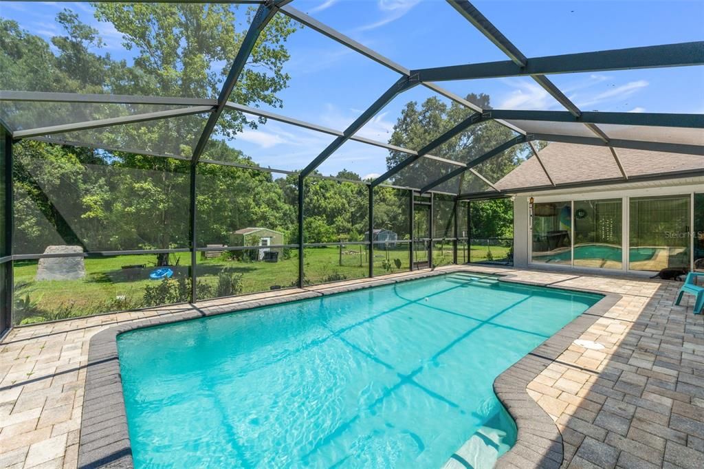 Glass Ceilings, Interior, Pool, Sun Room