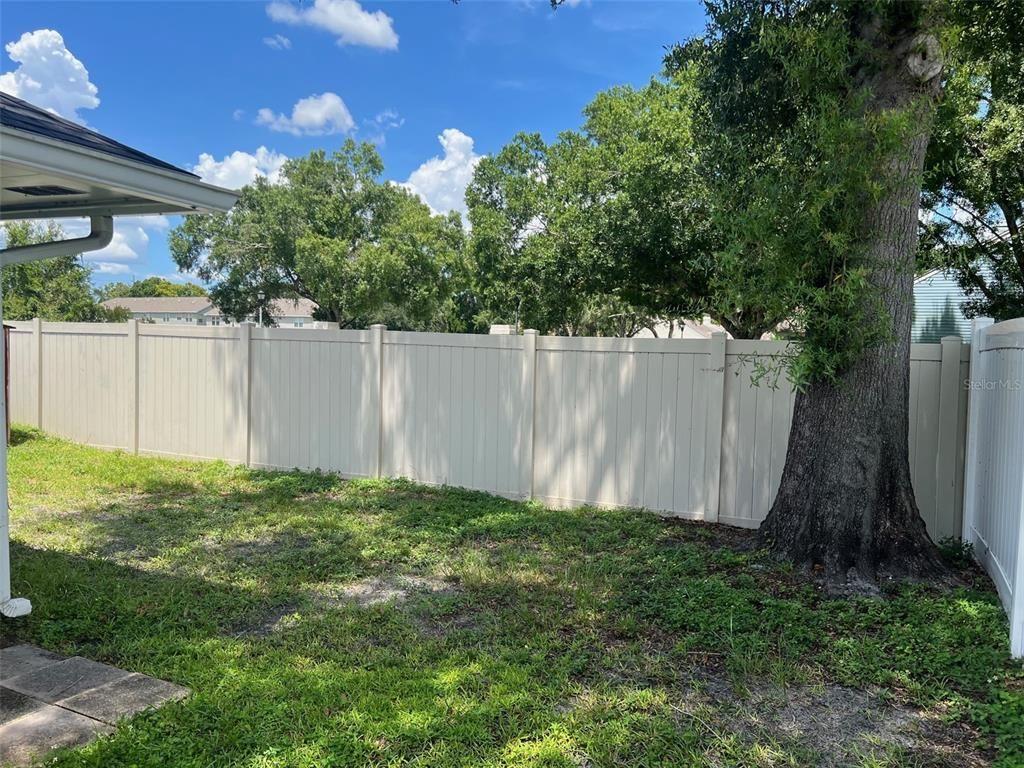 Backyard, Exterior