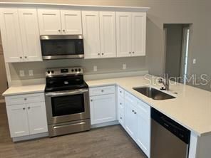 Interior, Kitchen, Stainless Steel Appliances, Wood Texture Flooring