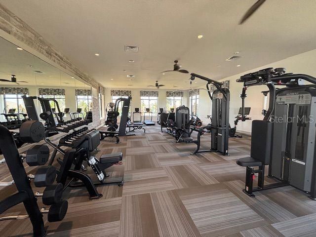 Fitness Equipment, Gym, Interior, Recessed Lighting
