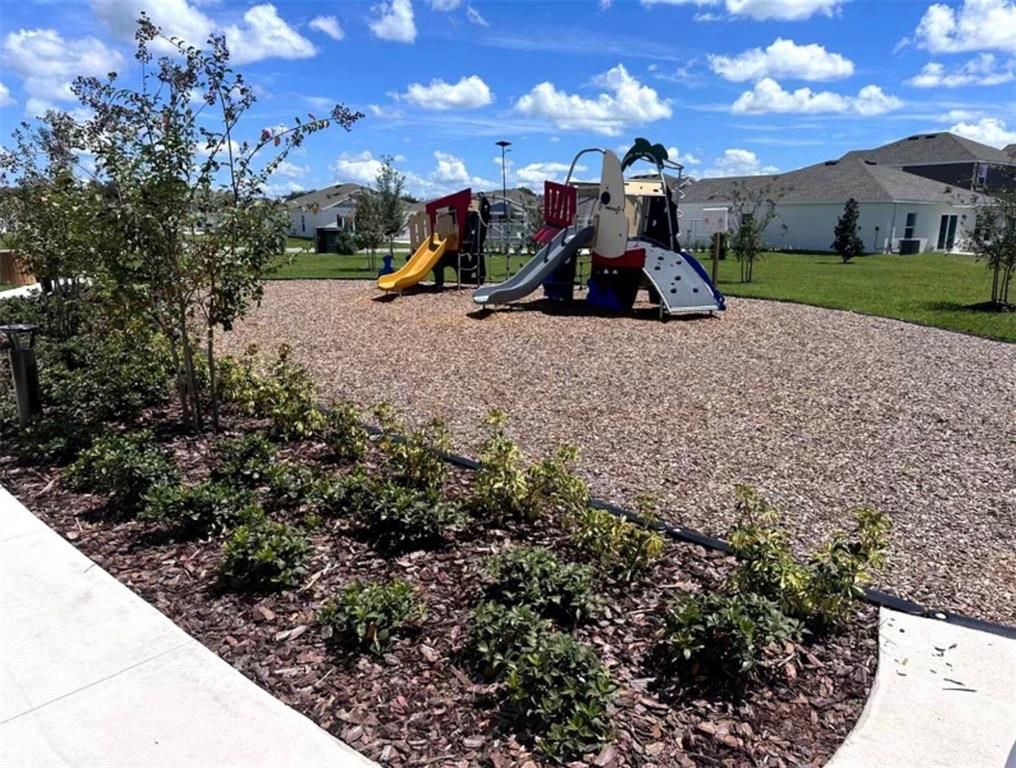 Backyard, Exterior, Playground