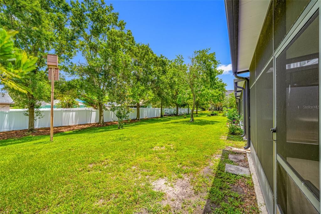 Backyard, Exterior