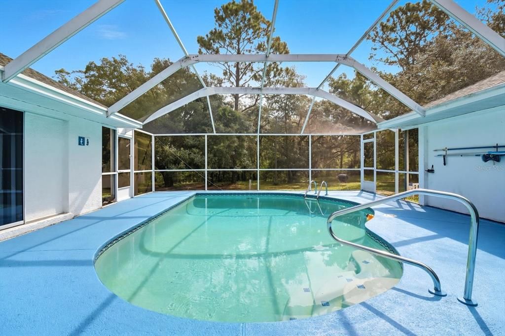 Glass Ceilings, Interior, Pool, Sun Room