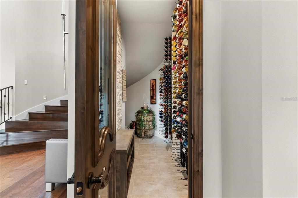 Interior, Wine Storage, Wood Texture Flooring