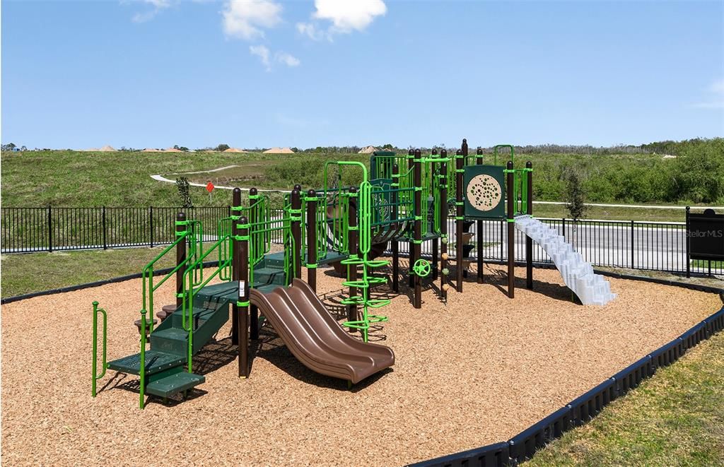 Backyard, Exterior, Playground