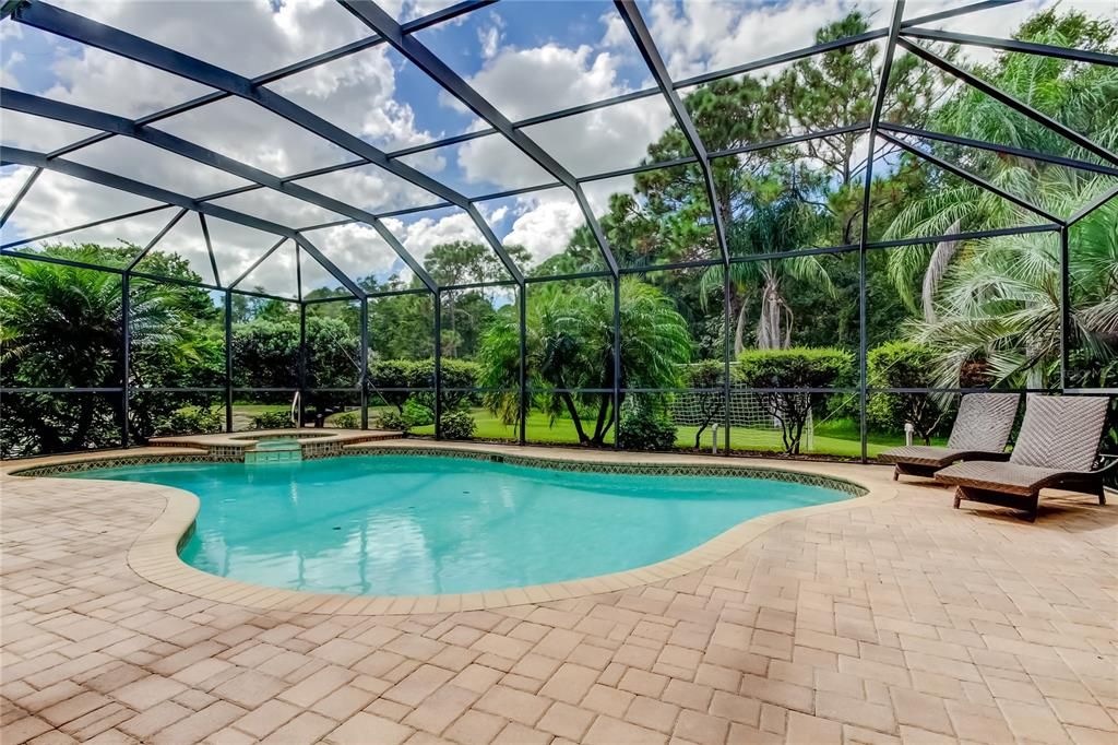 Glass Ceilings, Interior, Pool, Sun Room