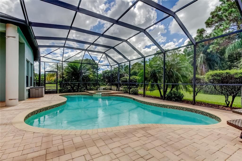 Glass Ceilings, Interior, Pool, Sun Room