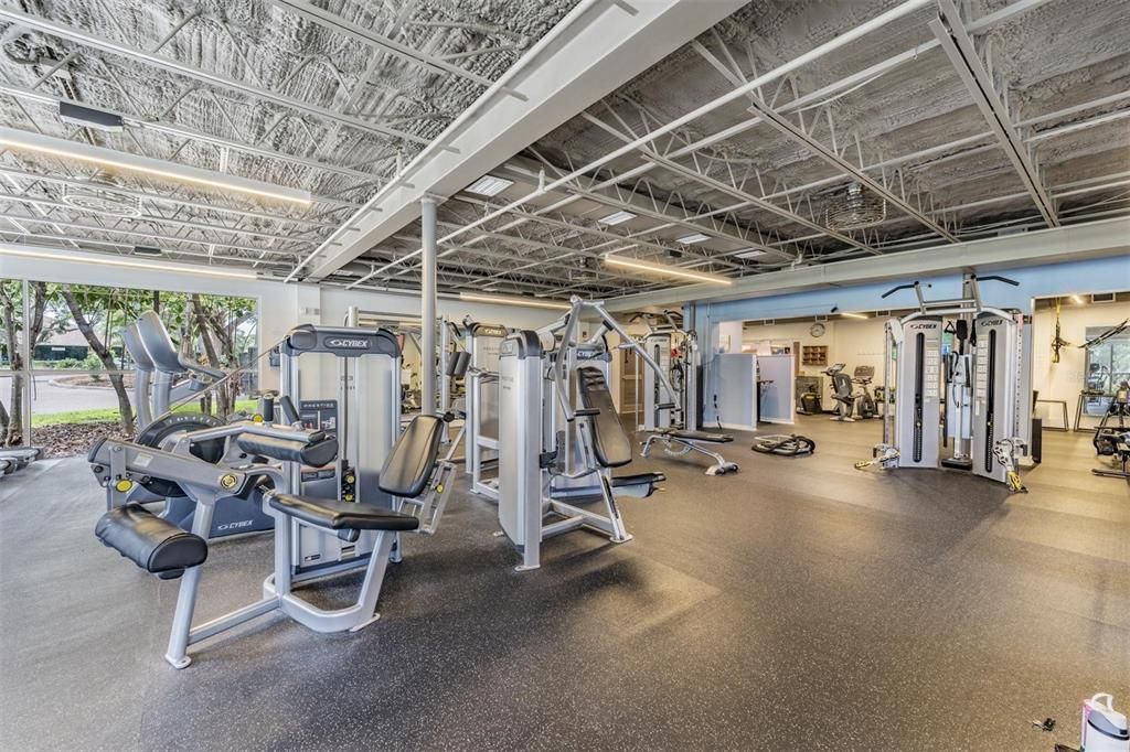 Fitness Equipment, Gym, Interior