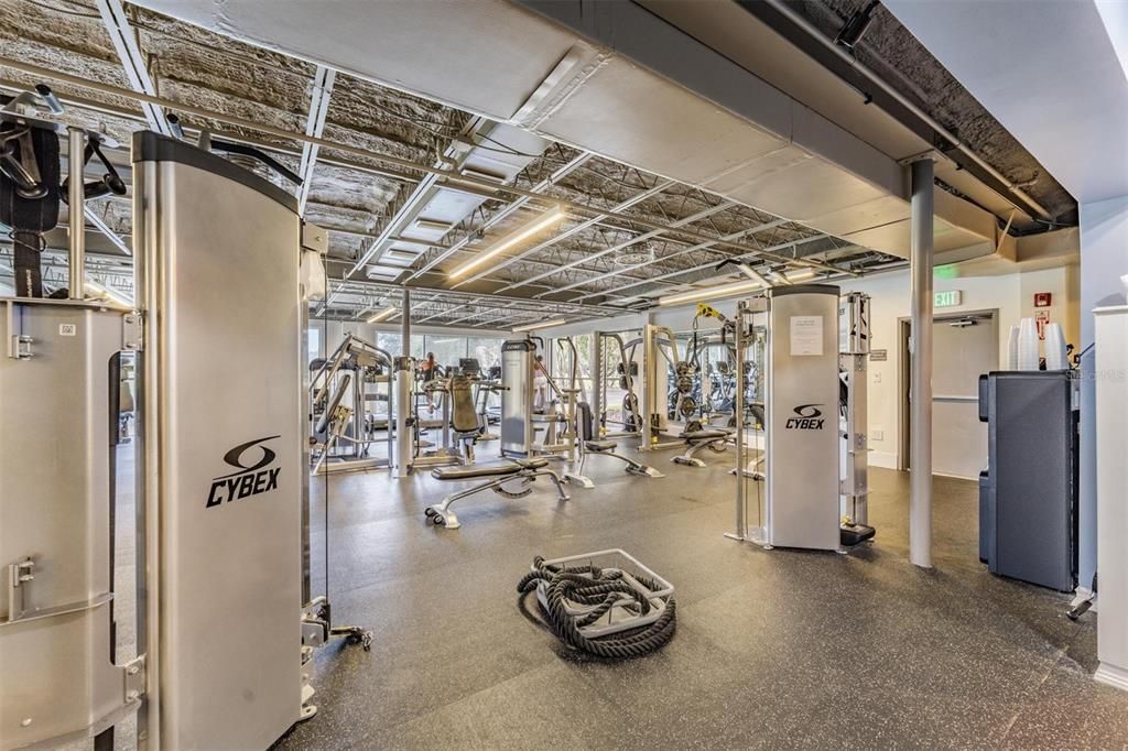 Fitness Equipment, Gym, Interior