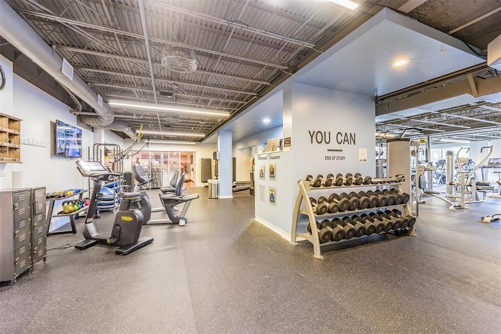 Fitness Equipment, Gym, Interior, Recessed Lighting