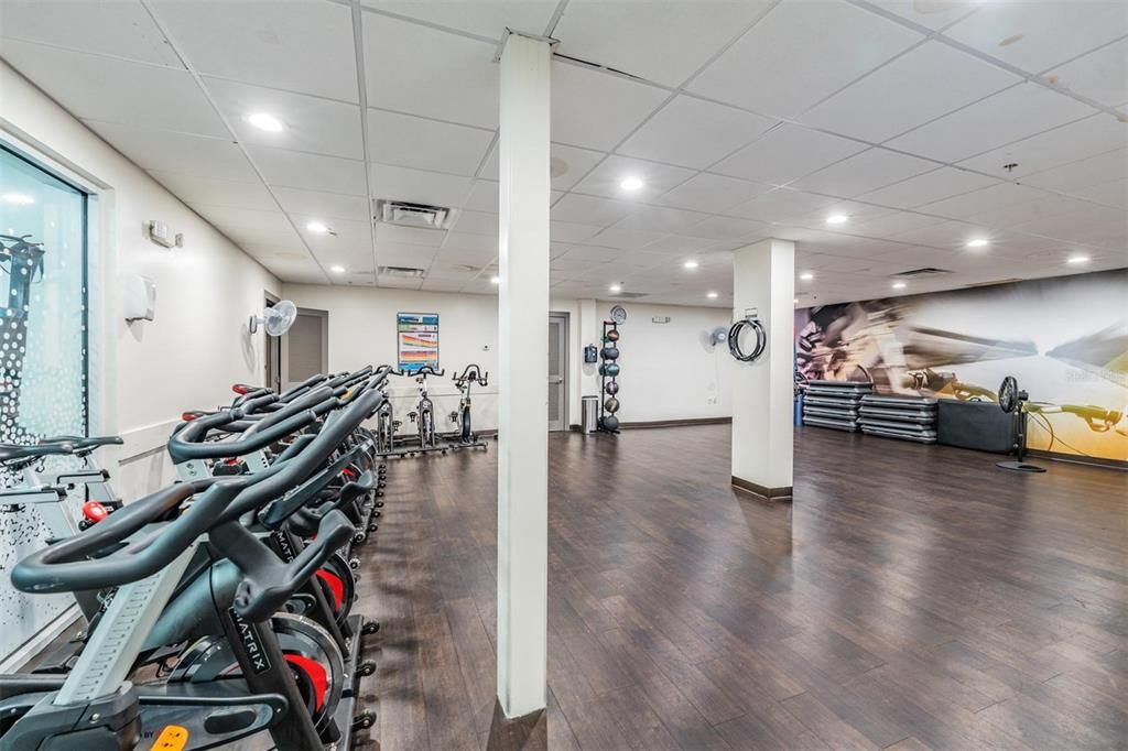 Fitness Equipment, Gym, Interior, Recessed Lighting, Wood Texture Flooring