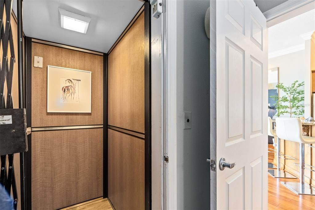 Interior, Wood Texture Flooring, Wooden Walls