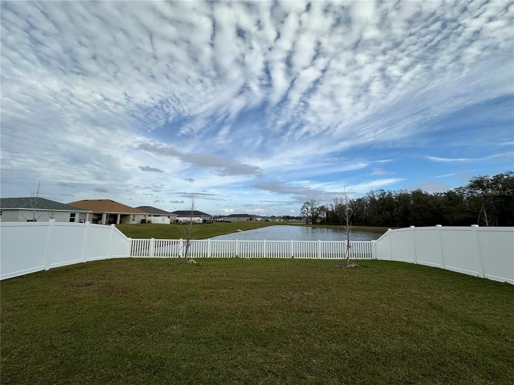 Backyard, Exterior, Water