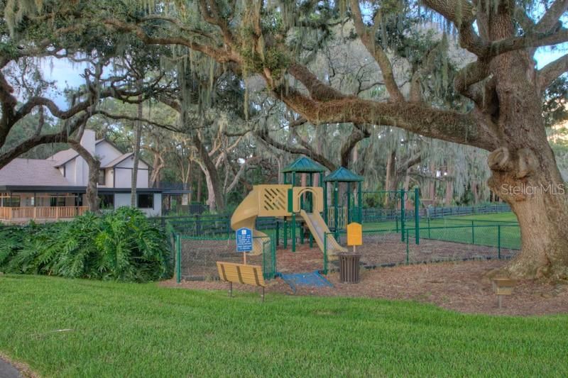 Backyard, Exterior, Playground