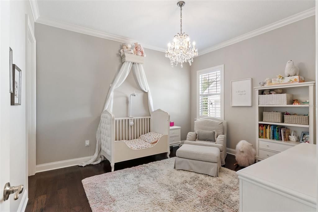Chandelier, Interior, Wood Texture Flooring
