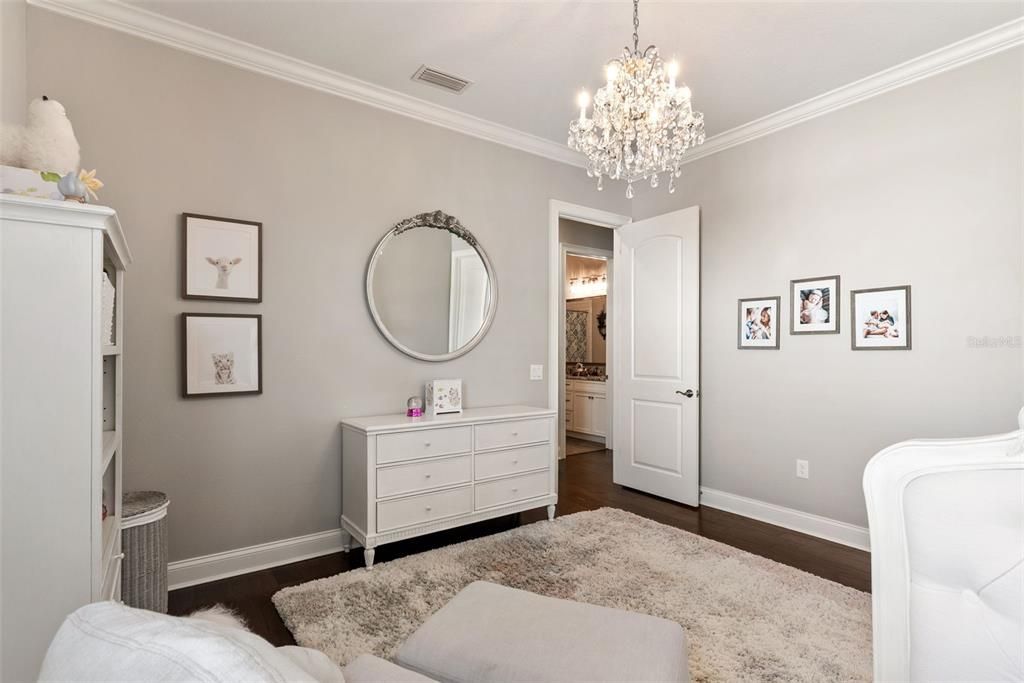 Chandelier, Interior, Wood Texture Flooring