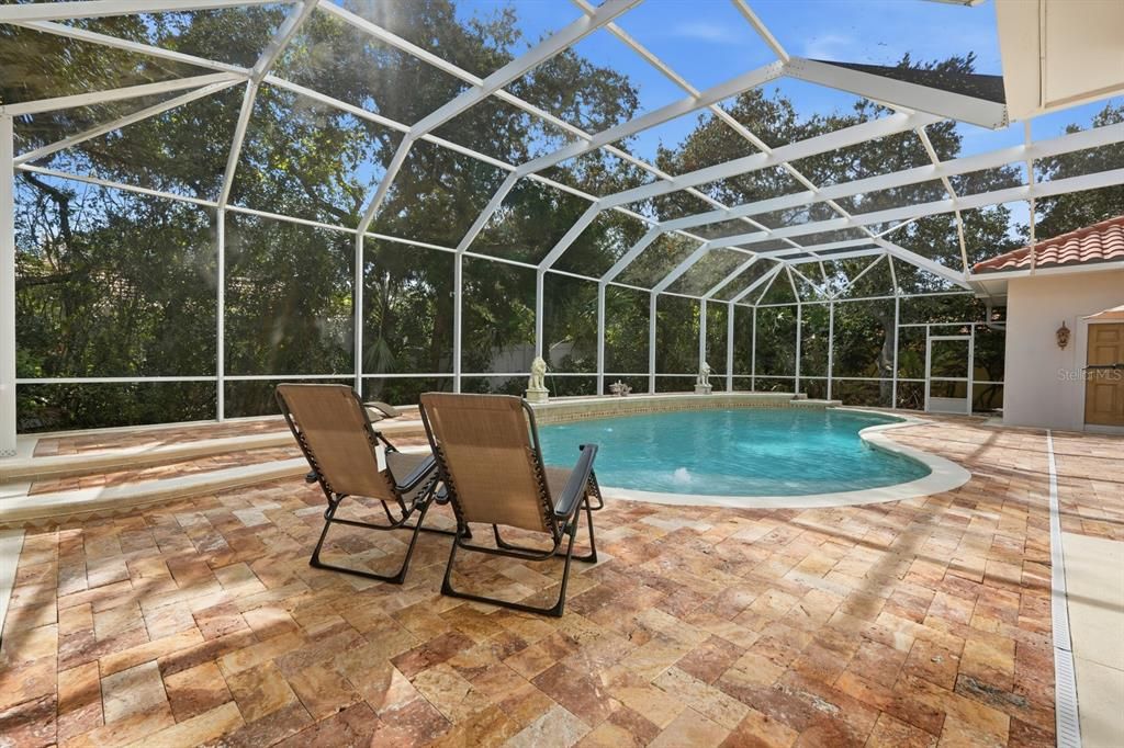 Glass Ceilings, Interior, Pool, Sun Room