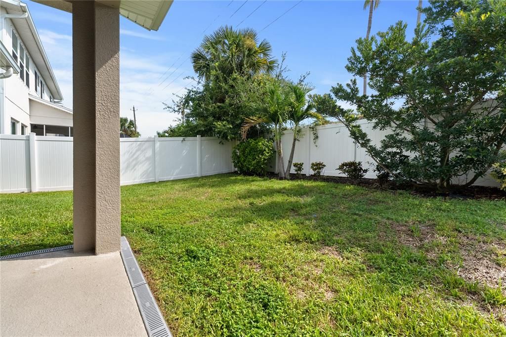 Backyard, Exterior