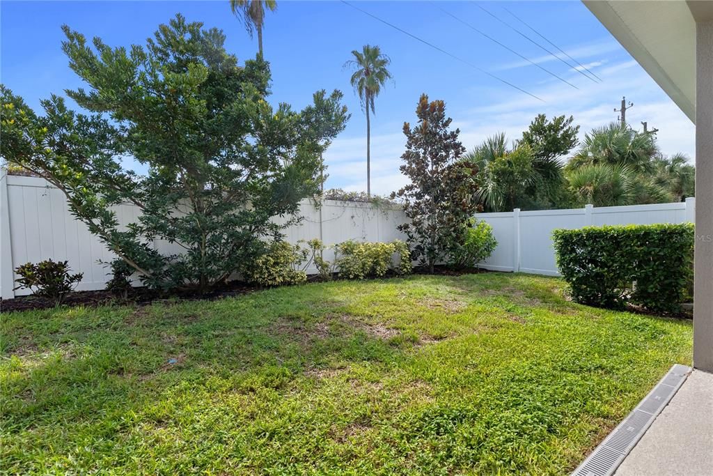 Backyard, Exterior