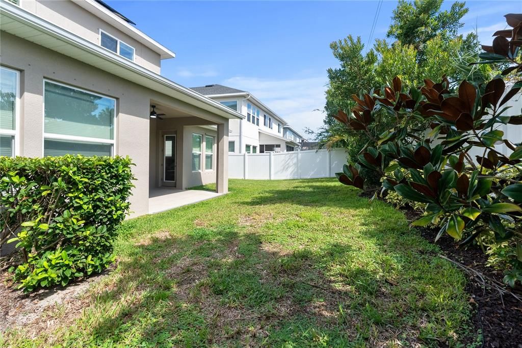 Backyard, Exterior