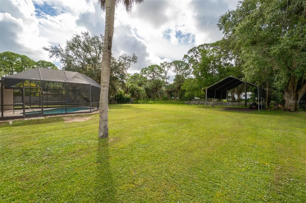 Backyard, Exterior, Pool