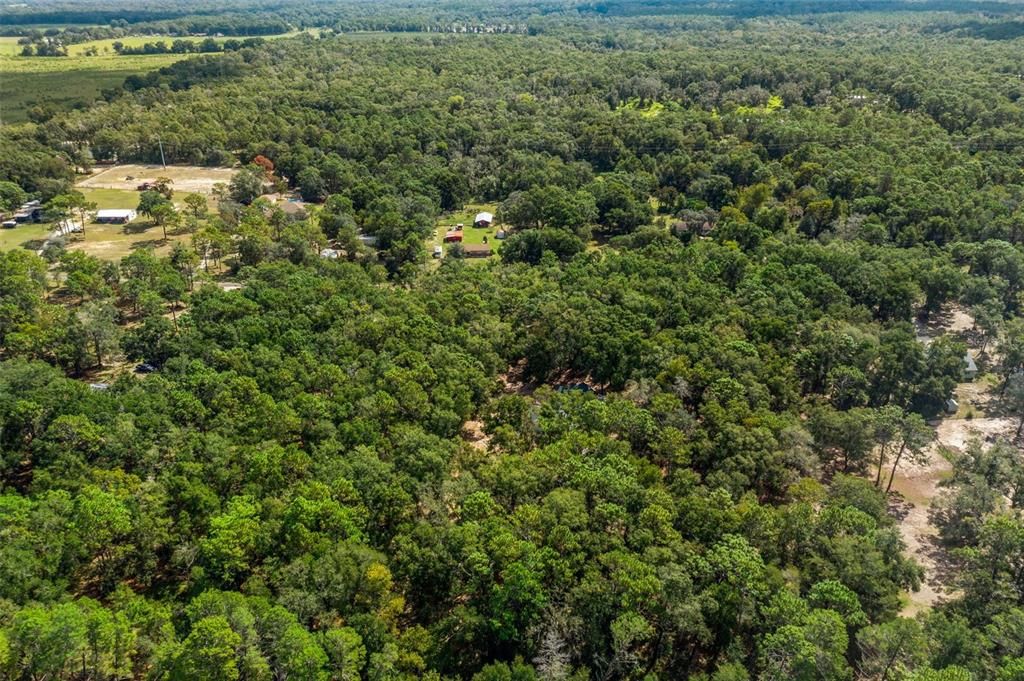 DE Listing image placeholder