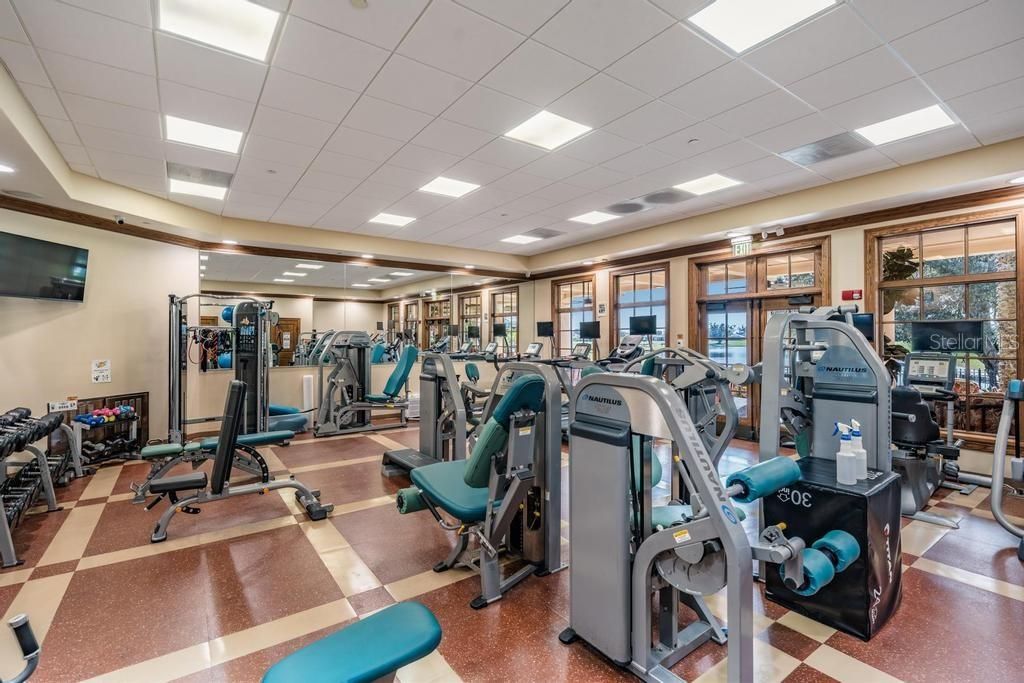 Fitness Equipment, Gym, Interior, Recessed Lighting