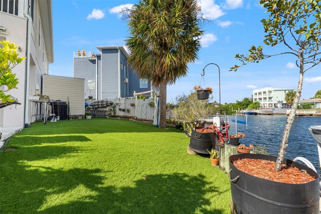 Backyard, Exterior, Water