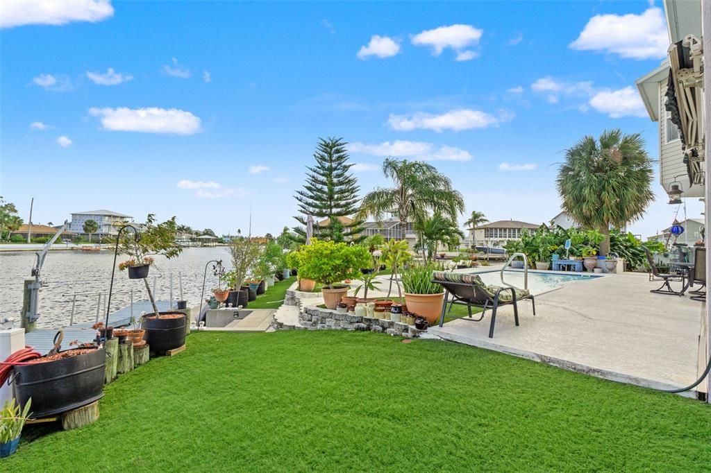 Backyard, Exterior, Pool, Water