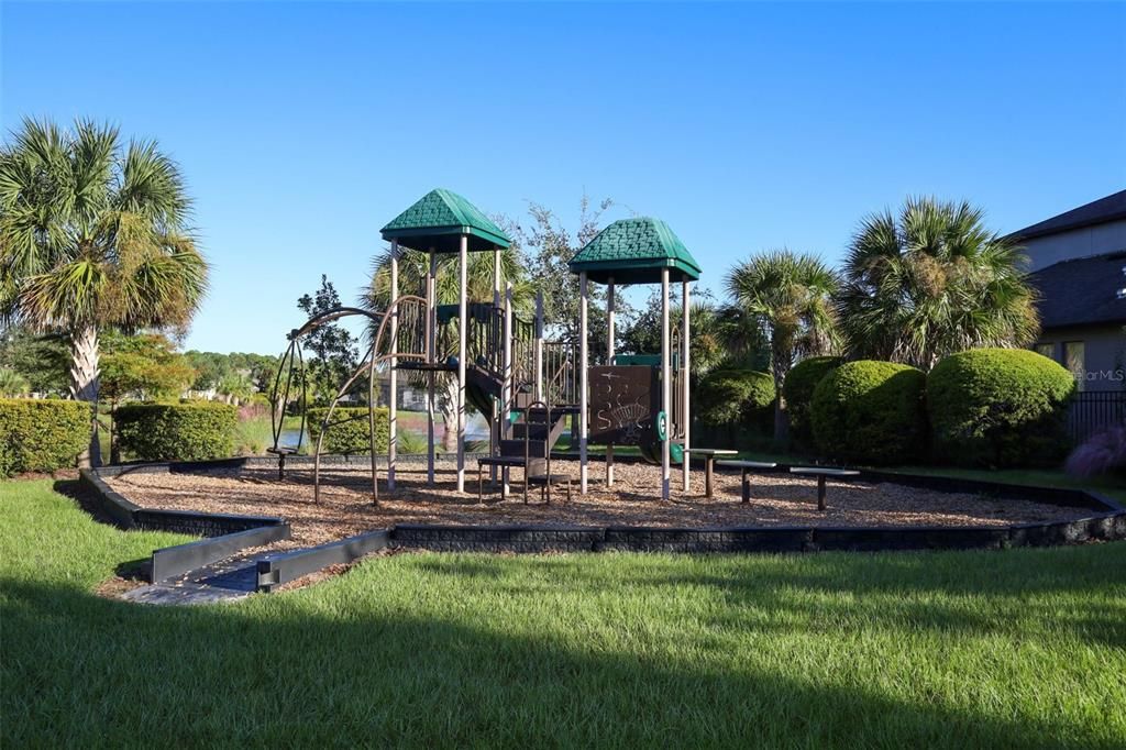 Backyard, Exterior, Playground