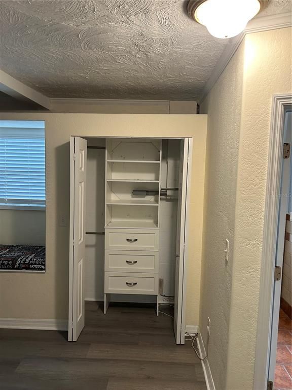 Interior, Walk-in Closets, Wood Texture Flooring